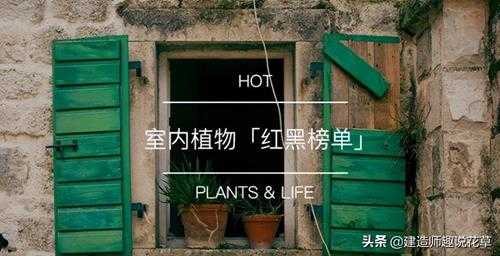 哪种植物不适合长期放在室内(不宜摆放在室内的花卉植物)