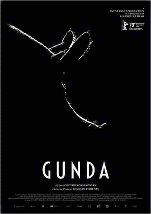 贡达 Gunda