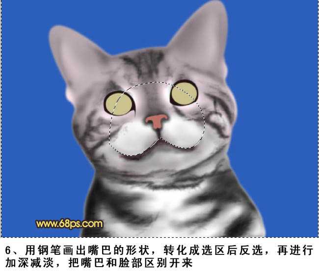 PS将鼠绘出神态逼真可爱的小灰猫