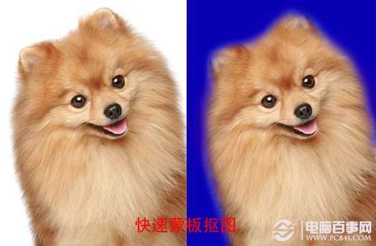 Photoshop抠图方法大全