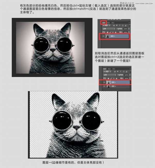 Photoshop使用通道给黑色猫咪抠图