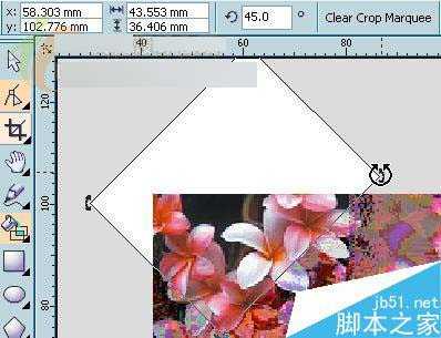 入门:CorelDRAW X3裁切工具使用介绍