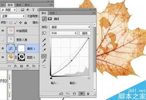 PS简单制作超漂亮的叶雕效果