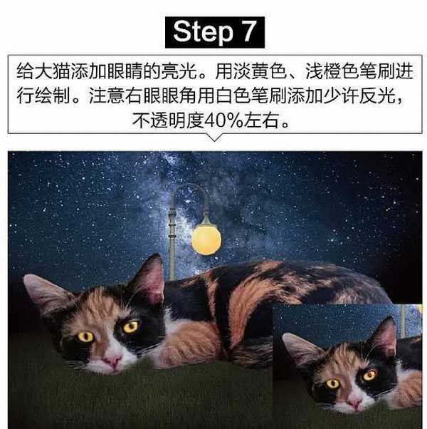 PS合成星空下的女孩靠在大猫怀里阅读场景