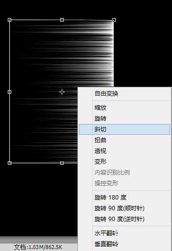 PS画出轻扬飞舞的羽毛