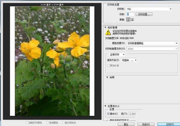 ps cs6怎么一次打印多张照片?