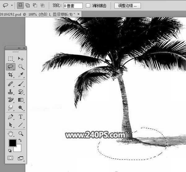 photoshop如何用通道快速抠出海边枝叶繁茂的椰子树