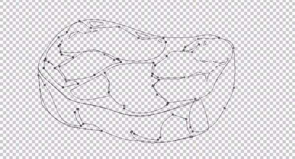 ps怎么绘制逼真的牛排矢量图?